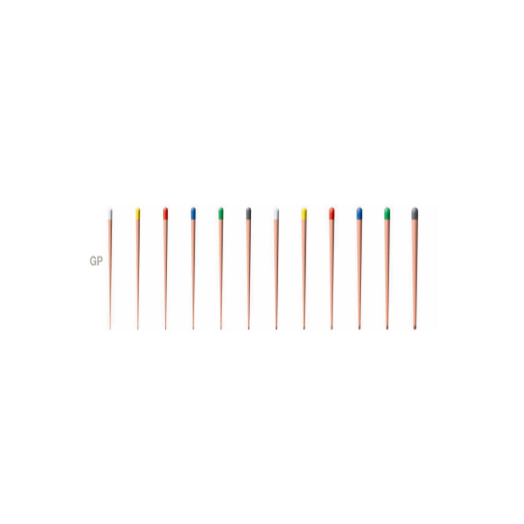 CONE GUTTA PERCHA 25.06