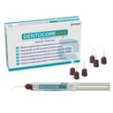 COMPOSITE NANOPARTICULE DENTOCORE BODY 