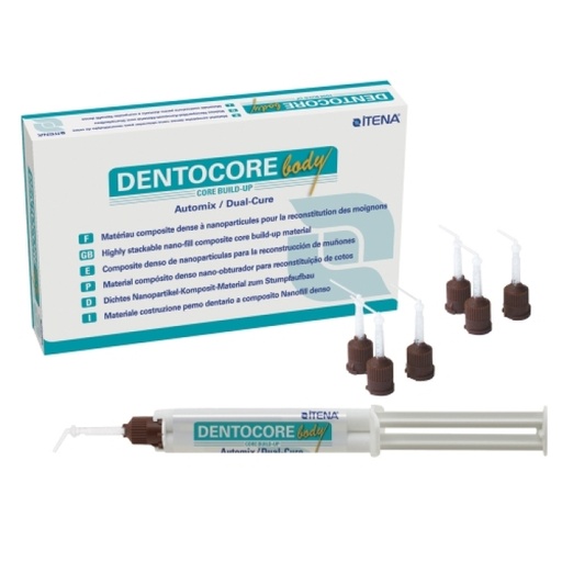 [27006] COMPOSITE NANOPARTICULE DENTOCORE BODY 