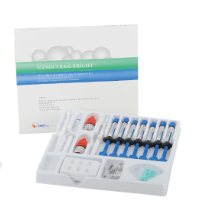 [27006] COMPOSITE NANOCERAM-BRIGHT SERINGUE 4G